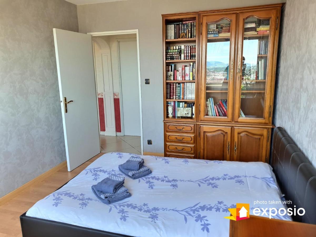 Bel Appartement Avec Vue Splendide Sur Toute La Ville De Colmar - Parking Gratuit Buitenkant foto